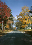 Tree Lined Road Past Farmhouse In Baldwin In Fall by George French