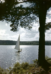 Sailboat On Damariscotta Lake by George French