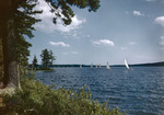 Sailboats On Damariscotta Lake by George French