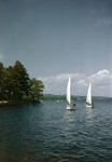Sailboats On Damariscotta Lake In Jefferson by George French