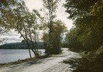 Road Past A Lake In Greenwood by George French