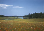 Salt Marsh And Fields Near A Cove In North Harpswell by George French