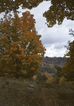 Fall Foliage Around Hiram by George French