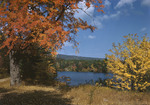 Fall Foliage Around The Saco River In Hiram by George French