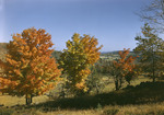 Trees In Fall Colors Foreground, Farm Distant Center, Mountains Afar by George French