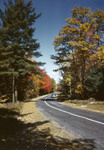 Paved Road Through Woods In North Sebago In Fall by George French