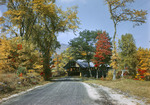 Tree Lined Road Leading Toward A Covered Bridge In Newry In Fall (Artists Bridge) by George French
