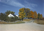 Tree Lined Road Past Farmhouse In Parsonfield In Fall by George French