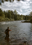 Man Fly-Fishing The Ossipee River In Porter by George French