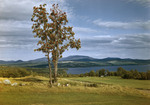 Fields Leading Down To Rangeley Lake, Mountains Behind by George French