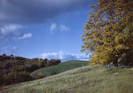Rolling Hillside At Douglas Hill by George French