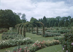 Elizabeth Park Rose Garden In Hartford, Conn by George French