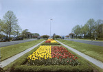 Tulip Beds In A Park In Jersey City, New Jersey by George French