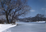 Snow Coverd Trees Along A Frozen River In Newark, New Jersey by George French