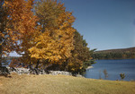 Fall Foliage, Fields, Pond by George French