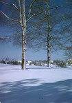 Two Birches In A Snow Covered Field, Town In Distance by George French