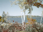 Fall Foliage Around Lake At Alton Bay, N.H. by George French