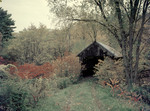 Fall Foliage And A Covered Bridge In Claremont by George French