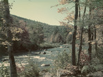 Fall Foliage Along The Swift River In Conway, New Hampshire by George French