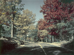 Fall Foliage Along The Road Between Eaton And Freedom, New Hampshire by George French