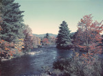 Fall Foliage Along A River Near Effingham Falls, New Hampshire by George French