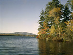 Fall Foliage Along Shore Of Province Lake In Effingham, New Hampshire by George French