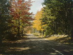 Country Road Near Freedom, New Hampshire In Fall by George French