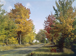 Country Road In Fall In Freedom, New Hampshire by George French