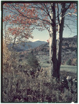 Mt Washington From Jackson, New Hampshire In The Fall by George French