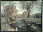Fall Foliage Along A Stream Beside A Pasture In Jackson, New Hampshire by George French