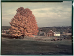 Farmhouse And Flaming Red Maple Under Dark Skies In Milton Mills, New Hampshire by George French