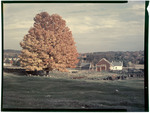 Fall Foliage And A Farm In Milton Mills, New Hampshire by George French