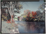 Fall Foliage Around A Mill Pond In New Boston, New Hampshire. Hand Colored by George French