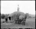 Two Men (Olin & Sewall) Haying With Horse Drawn Hay Cart by George French