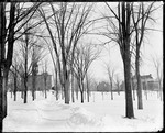 Snowy Path Through Trees Towards Campus Buildings, Bates College, Lewiston by George French
