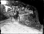 Man And Young Boy Riding Down A Rural Road In A Horse Drawn Buggy by George French