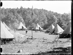 Boy Scout Campground With Many Pitched Tents by George French