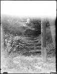 Young Boy Standing Part Way Up A Large Set Of Stone Steps by George French