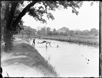 Boys Swimming In A Canal by George French