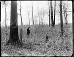 Young Child Walking In A Lightly Wooded Area by George French
