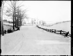Snow Covered Fence Lined Road by George French