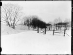 Snow Covered Field With Trees And Split Rail Fence by George French