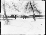 Snow Covered Field With Birch Trees, Split Rail Fence And Houses In The Distance by George French