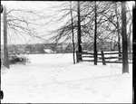 Snow Covered Field With Trees, Split Rail Fence And Houses In The Distance by George French