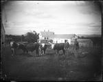 Two Men With Two Teams Of Oxen Outside A Farmhouse by George French