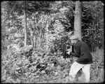 George French Photographing A Squirrel In The Woods by George French