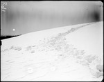 Path Through A Snow Covered Hillside by George French