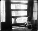 Baby Looking At A Dog Through A Screen Door by George French