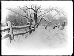 Winter Scene Of Snow Covered Split Rail Fence & Tree by George French
