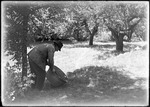 Man In A Field-orchard Dumping Out A Large Metal Bucket by George French